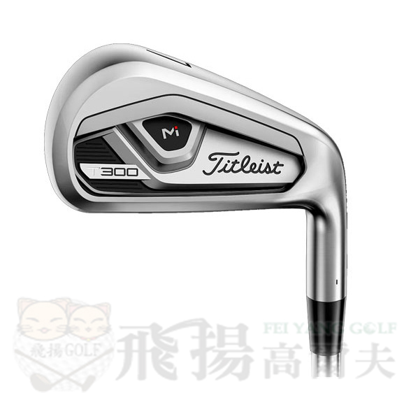 【飛揚高爾夫】'21 Titleist T300 II 鐵身NSPRO 880 (亞規) 鐵桿#6-P+W 共6支