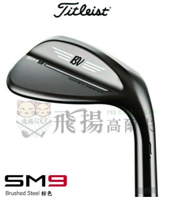 【飛揚高爾夫】'23 Titleist Vokey SM9 Brushed Steel 棕色 鐵身DG-S200 挖起桿