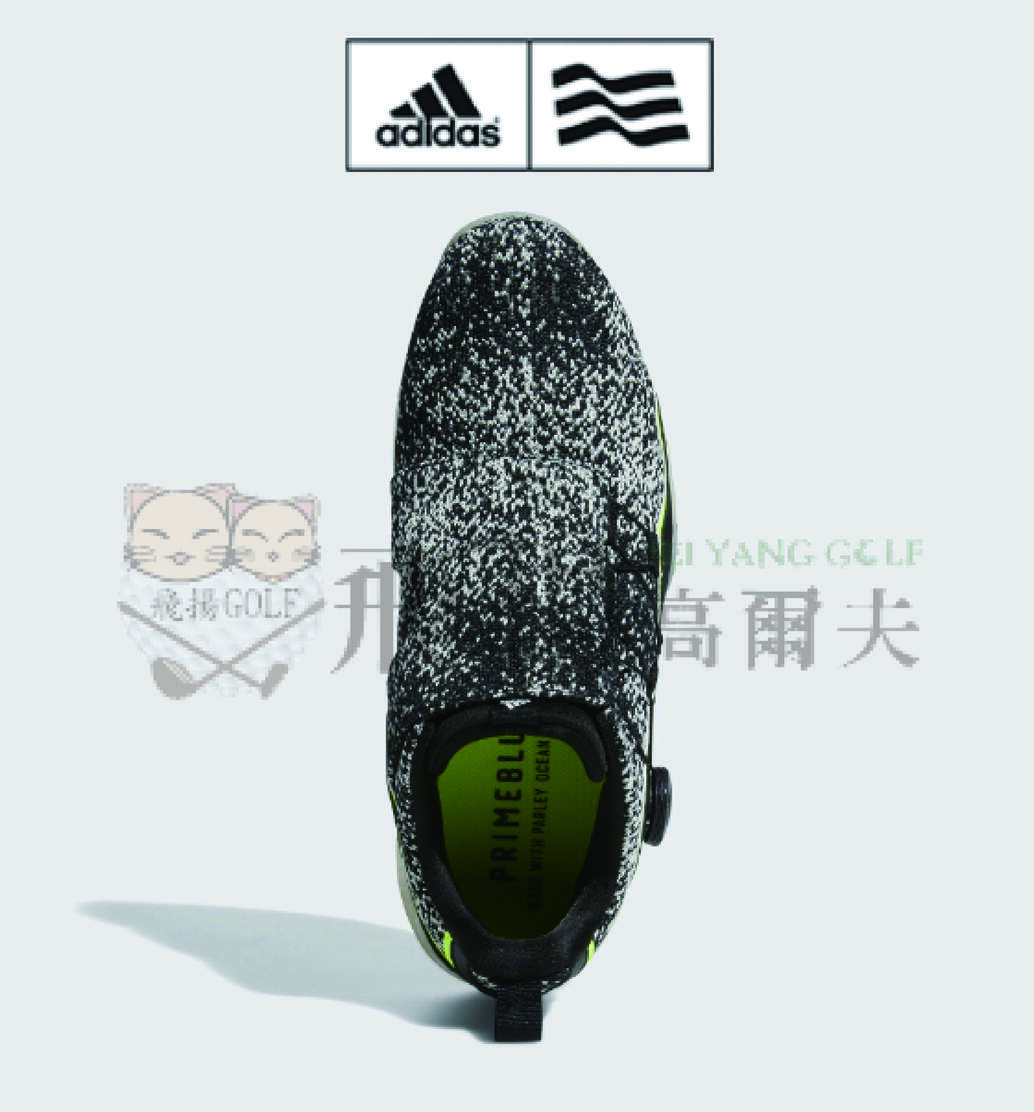 【飛揚高爾夫】ADIDAS CODECHAOS BOA 21 高爾夫球鞋 FW5618
