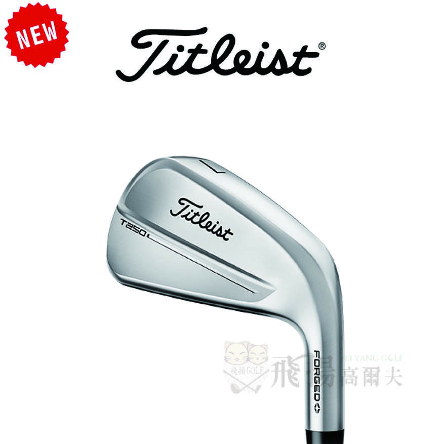 【飛揚高爾夫】'25 Titleist T250 Forged 鐵桿 #5-P+W ,鐵身NSPRO Modus 105(亞規)